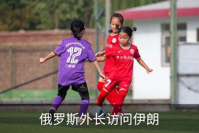 俄罗斯外长访问伊朗